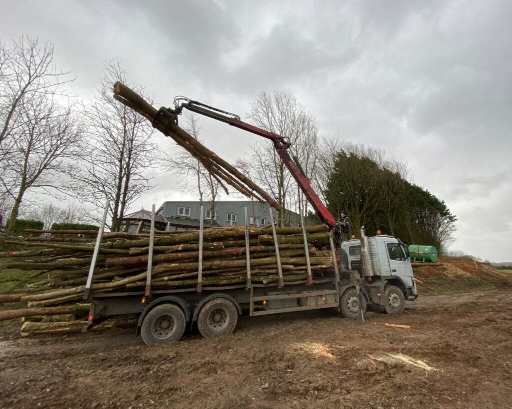 Timber milling